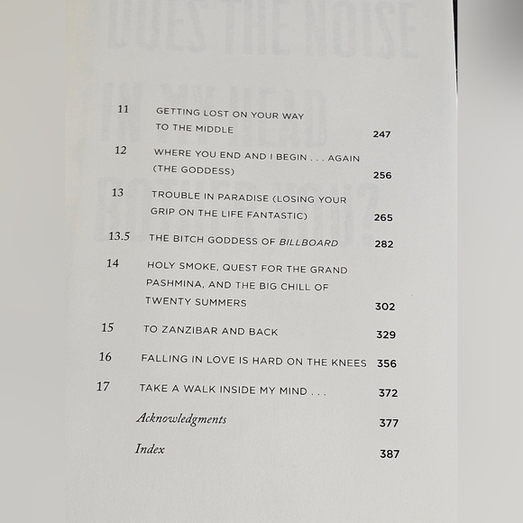 Steven Tyler Does the Noise in My Head Bother You? A Rock N Roll Memoir Book 1st - Picture 10 of 13